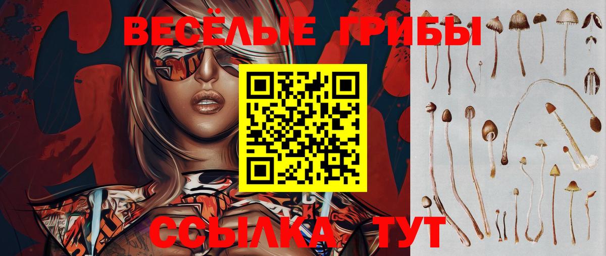 Балашиха  Галлюциногенные грибы мухоморы  Вход с VPN  Псилоцибиновые грибы мицелий 