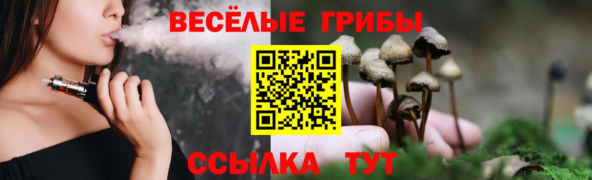 Галлюциногенные грибы Cubensis Балашиха